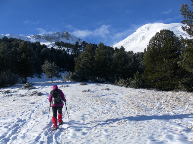 Foto: Wolfgang Lauschensky / Skitour / Mot dal Gajer 2797m / Schombrina / 07.01.2015 21:00:56