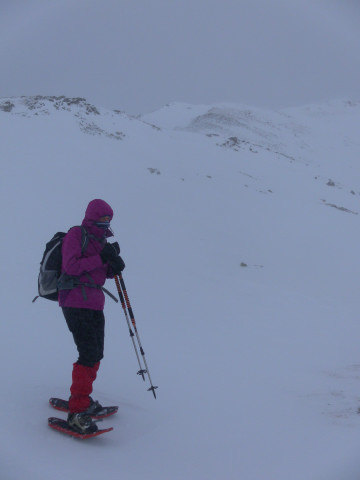 Foto: Wolfgang Lauschensky / Skitour / Mot dal Gajer 2797m / Kamm zum Mot dal Gajer bei Schlechtwettereinbruch / 07.01.2015 20:59:09