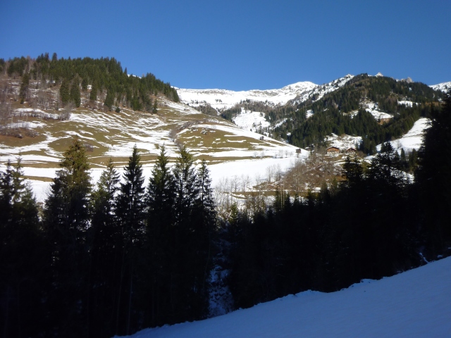 Foto: Manfred Karl / Skitour / Fulseck von Dorfgastein / 10.01.2015 20:49:29