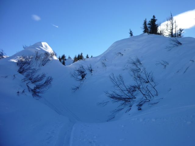 Foto: Manfred Karl / Skitour / Fulseck von Dorfgastein / 10.01.2015 20:45:27