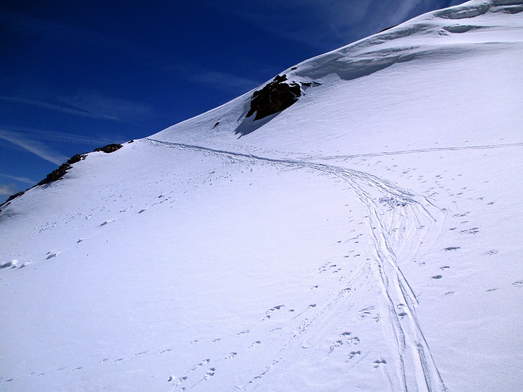 Foto: Andreas Koller / Skitour / Radüner Rothorn (3022m) / 29.01.2015 22:37:42