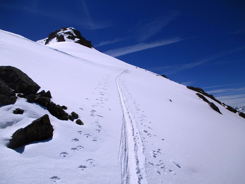 Foto: Andreas Koller / Skitour / Radüner Rothorn (3022m) / 29.01.2015 22:37:17