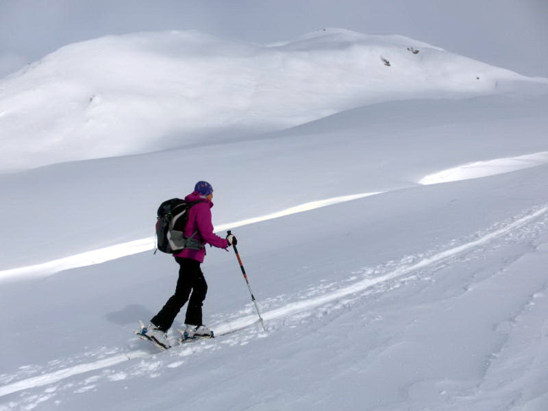 Foto: Wolfgang Lauschensky / Skitour / Roccabella 2727m / Roccabella Südflanke / 06.02.2015 21:07:31