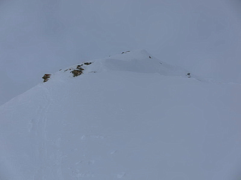 Foto: Wolfgang Lauschensky / Skitour / Roccabella 2727m / letzter Gipfelanstieg bei diffusem Wetter / 06.02.2015 21:06:20