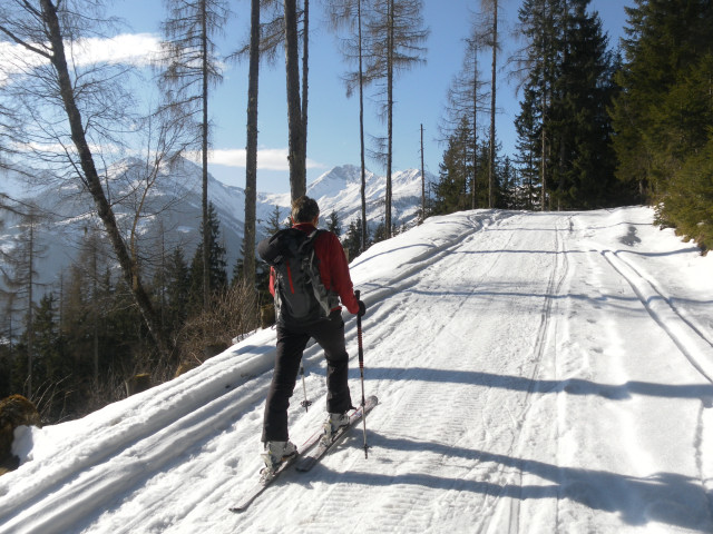 Foto: Wolfgang Lauschensky / Skitour / Hochkogel 2249m von Hochprack / Güterweg um den Steinbachriedel / 22.02.2015 20:36:56