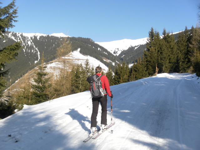 Foto: Wolfgang Lauschensky / Skitour / Hochkogel 2249m von Hochprack / Hochkogel links über dem Lengbachtal / 22.02.2015 20:36:30