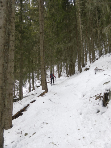 Foto: Wolfgang Lauschensky / Skitour / Hochkogel 2249m von Hochprack / Waldanstieg rechts der Schlucht / 22.02.2015 20:35:51