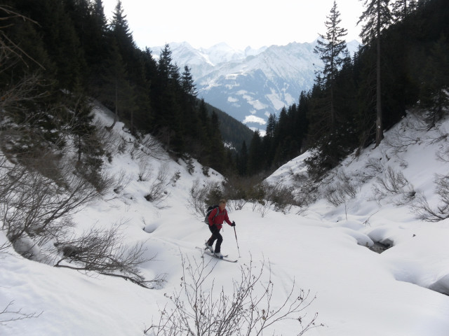 Foto: Wolfgang Lauschensky / Skitour / Hochkogel 2249m von Hochprack / am Bachbett / 22.02.2015 20:35:28