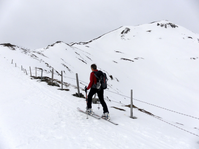 Foto: Wolfgang Lauschensky / Skitour / Hochkogel 2249m von Hochprack / Südgratrücken und Gipfelhang / 22.02.2015 20:34:48