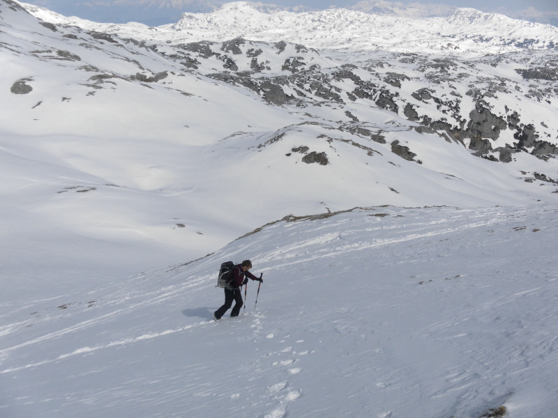 Foto: Wolfgang Lauschensky / Skitour / Sinabell  2349m über Feisterkar / Gipfelnordhang mit Dachsteinhochfläche 'auf dem Stein' / 02.04.2015 14:33:14