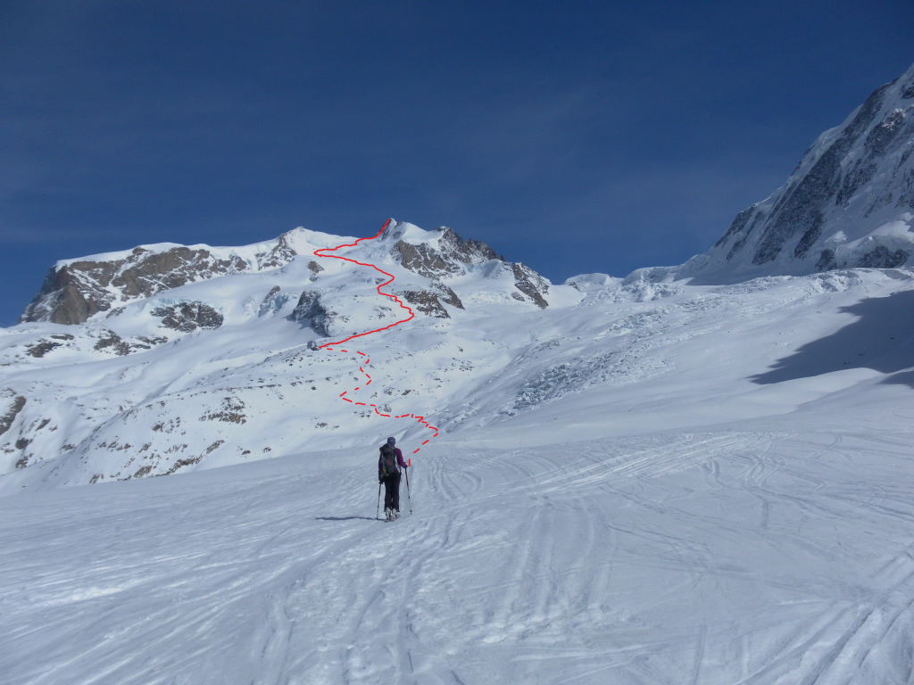 Foto: Wolfgang Lauschensky / Skitour / Dufourspitze 4634m / Route vom Grenzgletscher aus gesehen / 27.04.2015 13:12:42