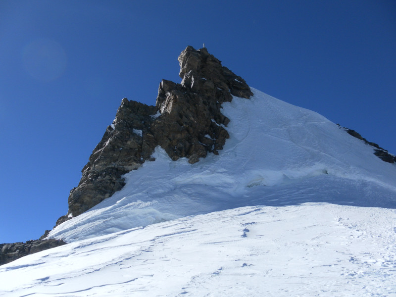 Foto: Wolfgang Lauschensky / Skitour / Corno Nero oder Schwarzhorn 4321m und Ludwigshöhe 4341m über Grenzgletscher / Schwarzhorn Nordflanke / 27.04.2015 21:27:48