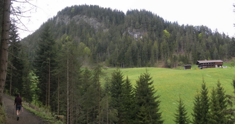 Foto: Wolfgang Lauschensky / Wandertour / Reither Kogel 1336m - Überschreitung / Südsattel vor dem Reitherkogel / 11.05.2015 20:48:39