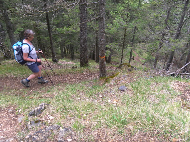 Foto: Wolfgang Lauschensky / Wandertour / Reither Kogel 1336m - Überschreitung / Abstiegsserpentinen / 11.05.2015 20:46:54