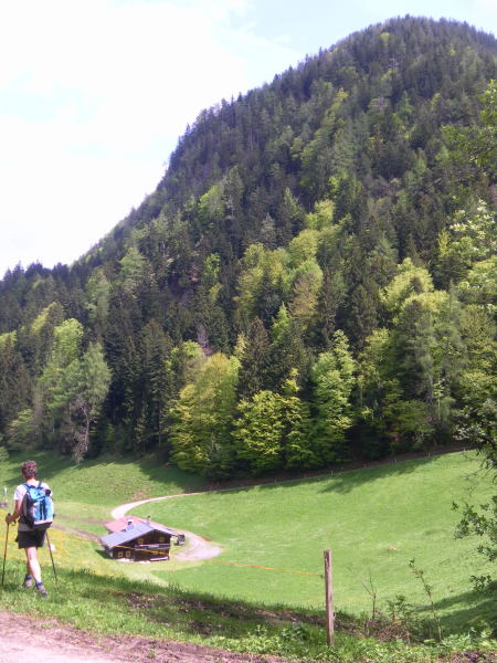 Foto: Wolfgang Lauschensky / Wandertour / Reither Kogel 1336m - Überschreitung / Nordwestsattel mit Reitherkogel / 11.05.2015 20:46:10