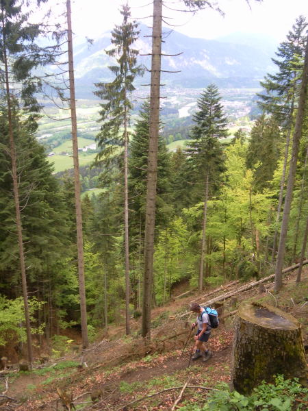 Foto: Wolfgang Lauschensky / Wandertour / Reither Kogel 1336m - Überschreitung / Alpenvereinssteig / 11.05.2015 20:45:59