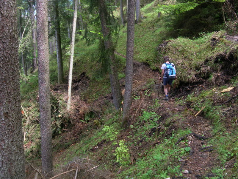 Foto: Wolfgang Lauschensky / Wandertour / Reither Kogel 1336m - Überschreitung / Querung der Nordhänge am AV-Steig / 11.05.2015 20:45:48