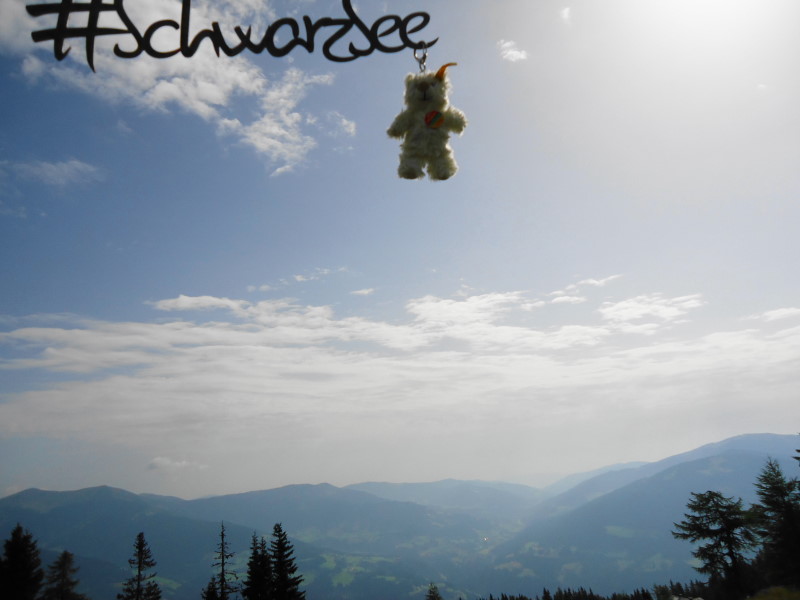 Foto: Günter Siegl / Wandertour / Mirnock über Palnock / 24.07.2016 20:20:01
