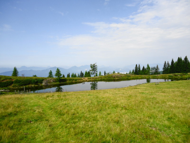 Foto: Günter Siegl / Wandertour / Mirnock über Palnock / Schwarzsee / 24.07.2016 20:19:48