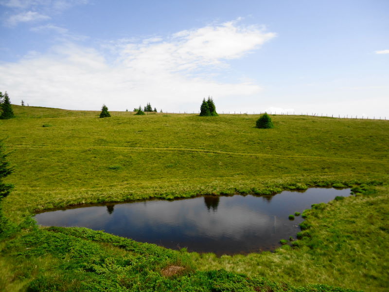 Foto: Günter Siegl / Wandertour / Mirnock über Palnock / 24.07.2016 20:19:20