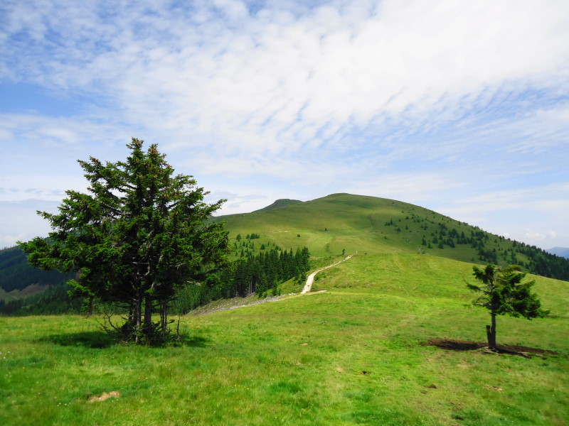 Foto: Günter Siegl / Wandertour / Mirnock über Palnock / 24.07.2016 20:16:16