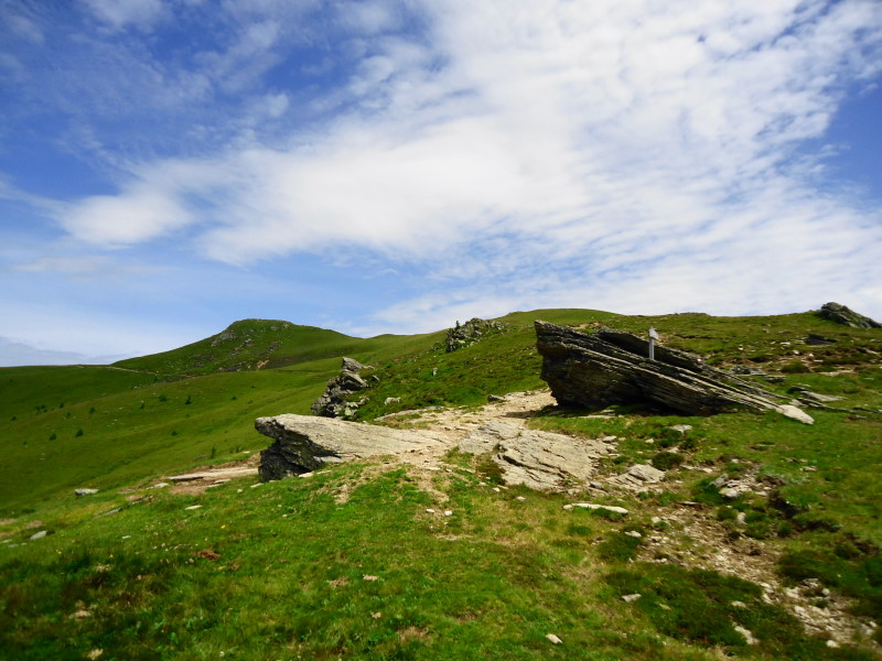 Foto: Günter Siegl / Wandertour / Mirnock über Palnock / Rindernock voraus / 24.07.2016 20:15:38