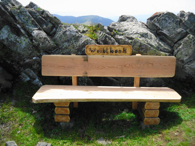 Foto: Günter Siegl / Wandertour / Mirnock über Palnock / Geschützt / 24.07.2016 20:13:31