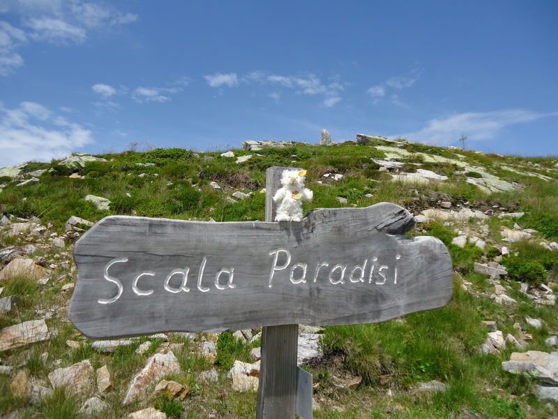 Foto: Günter Siegl / Wandertour / Mirnock über Palnock / 24.07.2016 20:11:06