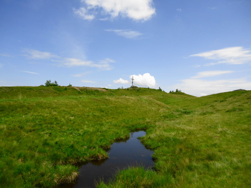 Foto: Günter Siegl / Wandertour / Mirnock über Palnock / 24.07.2016 20:06:10