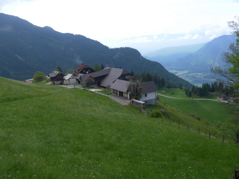 Foto: Wolfgang Lauschensky / Wandertour / Mirnock über Palnock / Ausgangspunkt: Weiler Walder / 19.05.2015 20:48:05