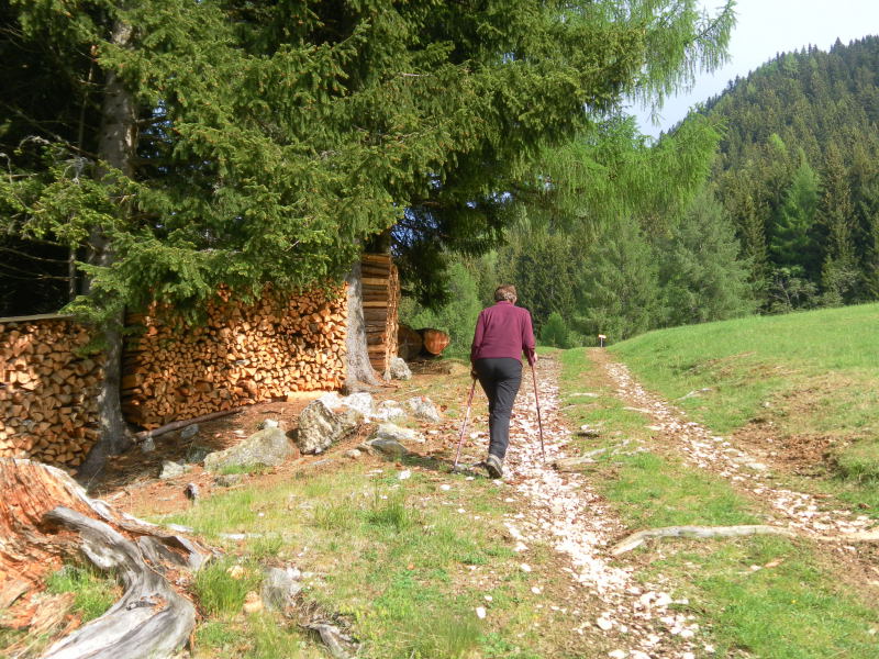 Foto: Wolfgang Lauschensky / Wandertour / Mirnock über Palnock / am Fuß des Südrückens / 19.05.2015 20:47:55