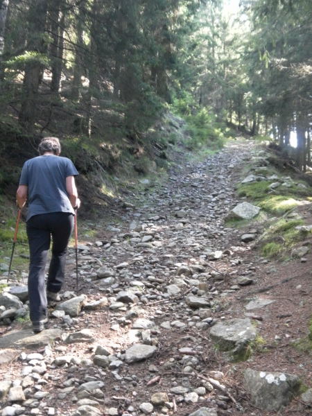 Foto: Wolfgang Lauschensky / Wandertour / Mirnock über Palnock / steiler Südrückenanstieg / 19.05.2015 20:47:37