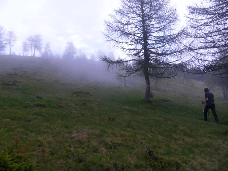 Foto: Wolfgang Lauschensky / Wandertour / Mirnock über Palnock / Morgennebel am Gipfelrücken / 19.05.2015 20:47:25