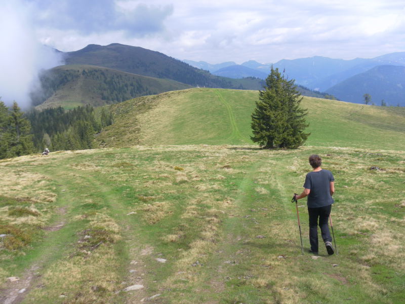 Foto: Wolfgang Lauschensky / Wandertour / Mirnock über Palnock / Verbindungsrücken / 19.05.2015 20:47:04