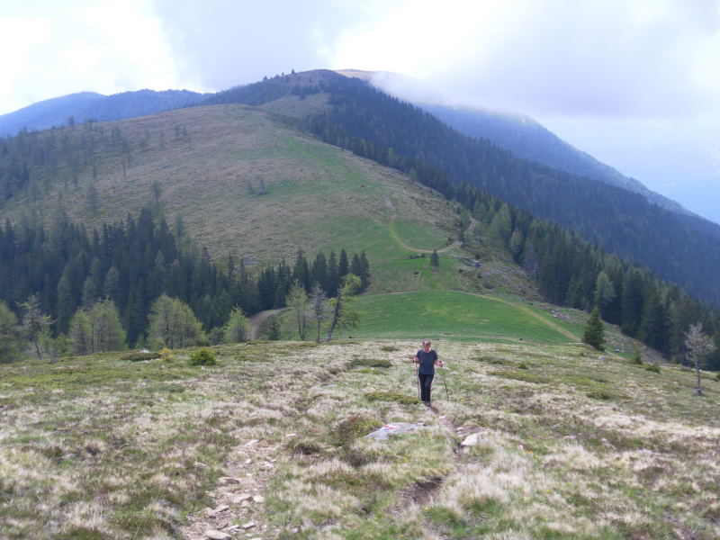 Foto: Wolfgang Lauschensky / Wandertour / Mirnock über Palnock / Anstieg zum Lahnerkopf, Blick zum Palnock / 19.05.2015 20:46:52