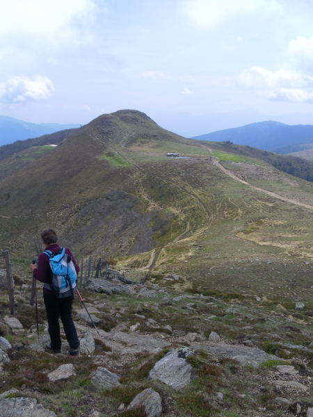 Foto: Wolfgang Lauschensky / Wandertour / Mirnock über Palnock / Abstieg Richtung Rindernock / 19.05.2015 20:45:36