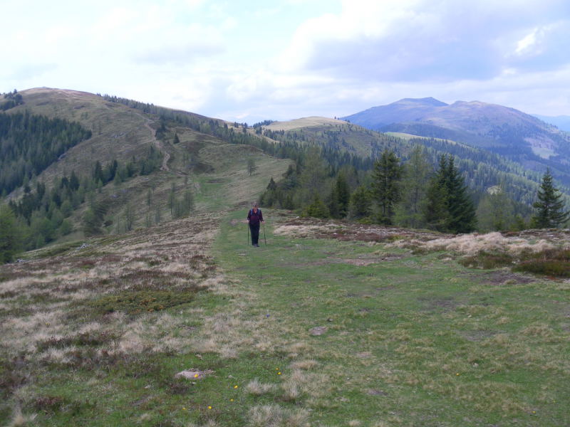 Foto: Wolfgang Lauschensky / Wandertour / Mirnock über Palnock / Palnock und Mirnock am Weg zum Schwarzsee / 19.05.2015 20:45:02