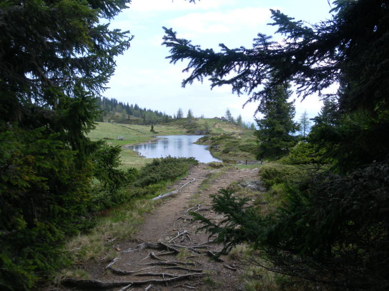 Foto: Wolfgang Lauschensky / Wandertour / Mirnock über Palnock / Schwarzsee / 19.05.2015 20:44:50