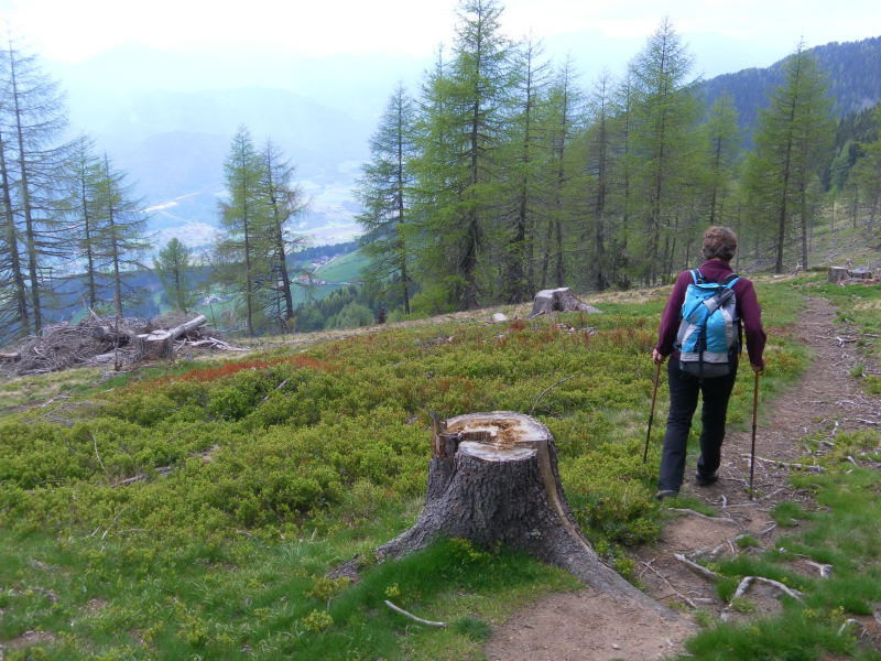 Foto: Wolfgang Lauschensky / Wandertour / Mirnock über Palnock / Abstieg nach Amberg / 19.05.2015 20:44:35