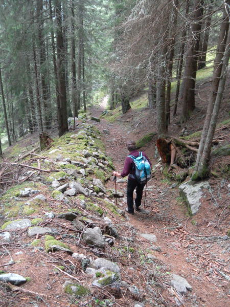 Foto: Wolfgang Lauschensky / Wandertour / Mirnock über Palnock / Hohlweg / 19.05.2015 20:44:20