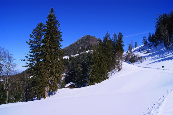 Foto: Andreas Koller / Schneeschuhtour / Schneeschuhtour auf den Faistenauer Schafberg (1559m) / 30.05.2015 11:28:34