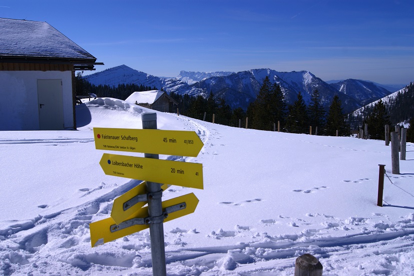 Foto: Andreas Koller / Schneeschuhtour / Schneeschuhtour auf den Faistenauer Schafberg (1559m) / 30.05.2015 11:27:53