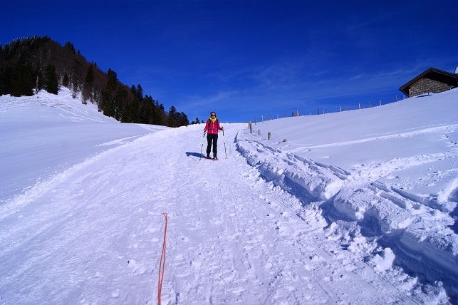 Foto: Andreas Koller / Schneeschuhtour / Schneeschuhtour auf den Faistenauer Schafberg (1559m) / Abstieg von den Almen / 30.05.2015 11:20:03