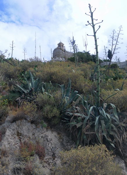 Foto: Wolfgang Lauschensky / Wandertour / Lykavittos oder Lykabettus 277m / Rückblick zum Gipfel / 17.06.2015 17:27:09