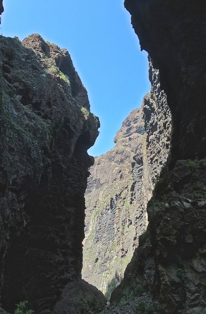 Foto: Walter Ruttinger / Wandertour / Masca Schlucht ***** / 19.06.2015 12:19:35