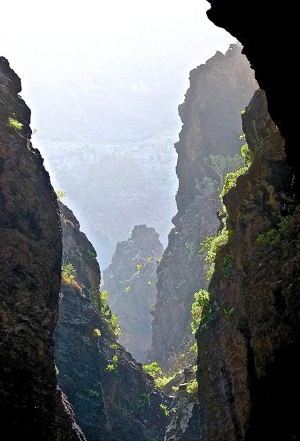 Foto: Walter Ruttinger / Wandertour / Masca Schlucht ***** / 19.06.2015 12:27:27