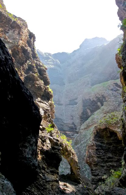 Foto: Walter Ruttinger / Wandertour / Masca Schlucht ***** / 19.06.2015 12:14:47