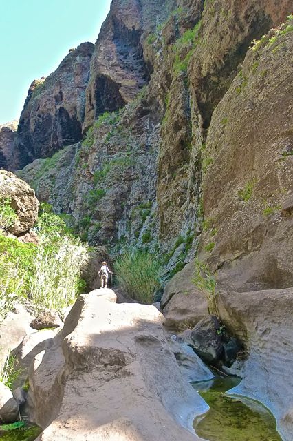 Foto: Walter Ruttinger / Wandertour / Masca Schlucht ***** / 19.06.2015 12:18:53