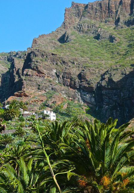 Foto: Walter Ruttinger / Wandertour / Masca Schlucht ***** / Masca (Ortsrand) / 19.06.2015 12:10:00