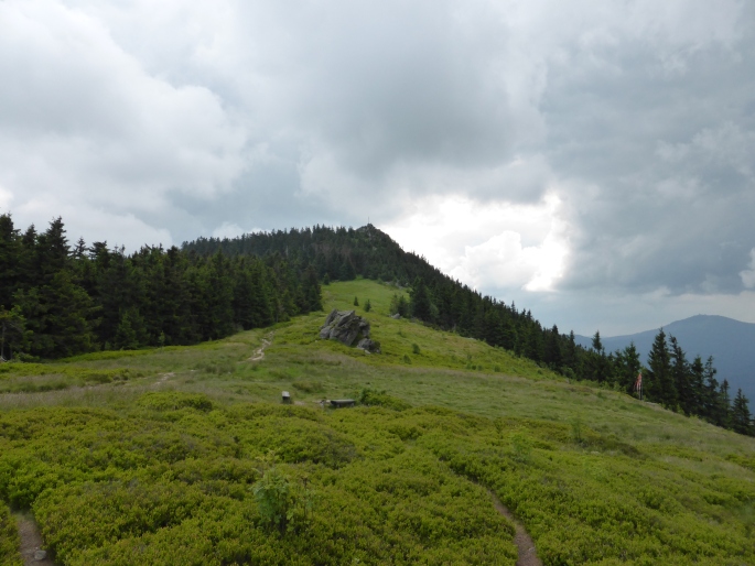 Foto: Manfred Karl / Wandertour / Großer und Kleiner Osser / Osserwiese / 15.08.2015 17:38:52